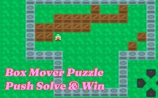 Box Mover Puzzle Push Solve & Win